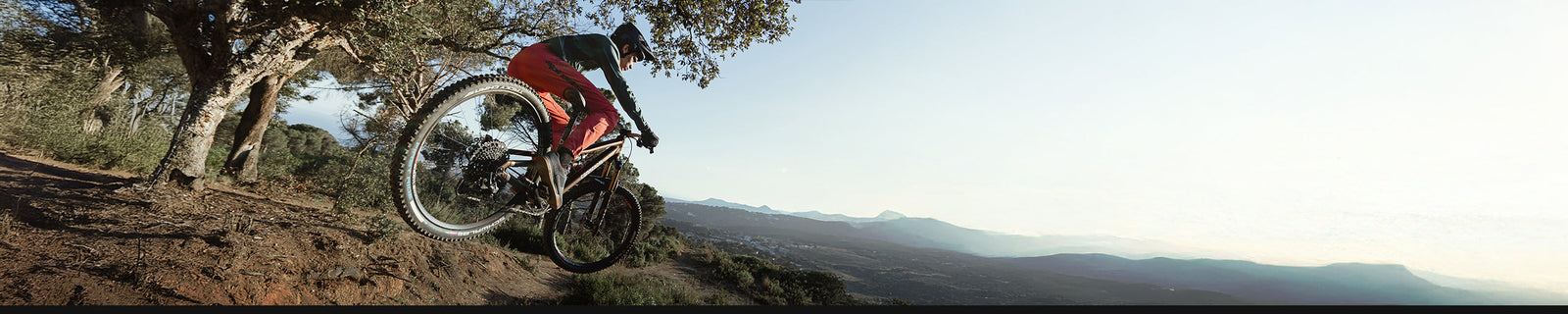 Marken | ALPINESTARS