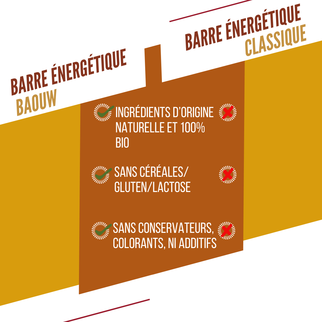 Energieriegel BAOUW BIO EXTRA Mango Cashew (50g)