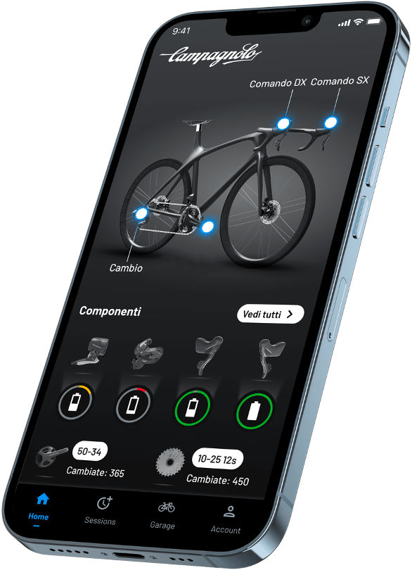 Gruppe CAMPAGNOLO SUPER RECORD WRL 2x12V