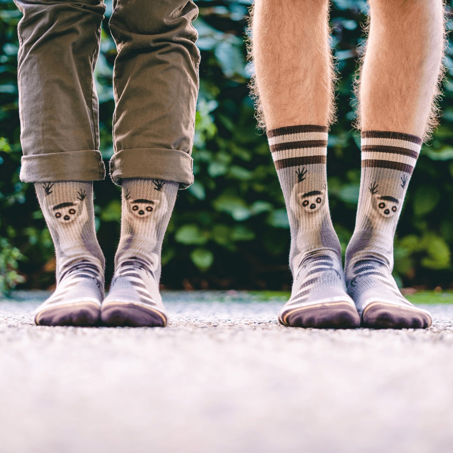 Socken MERGE4 RING TAIL LEMUR