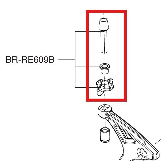 Einstellschraube für Bremssattel CAMPAGNOLO SUPER RECORS / RECORD 12V Schwarz