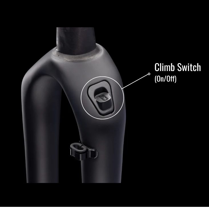 Gabel CANE CREEK INVERT CS 700c Offset 45mm