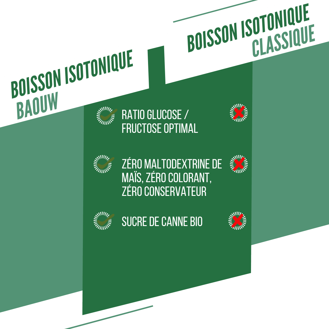 BAOUW ISOTONIC Energy Drink (45g) Minze/Melisse