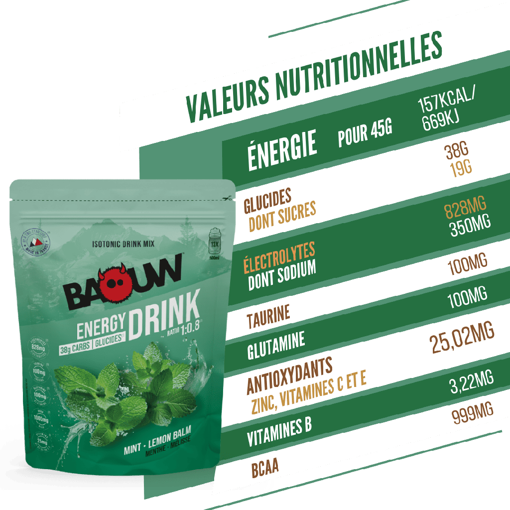 BAOUW ISOTONIC Energy Drink (585g) Minze/Melisse