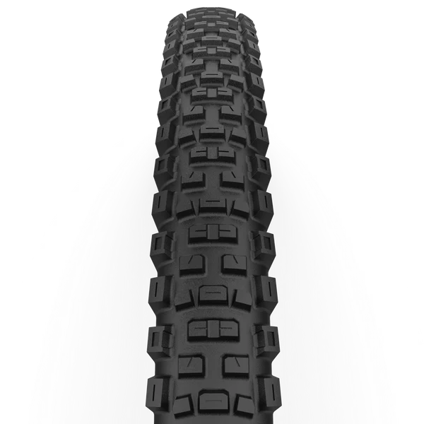 CAST ANTAGONIST 29x2.40 DualWall Smart Evo DH Tubeless Ready Reifen