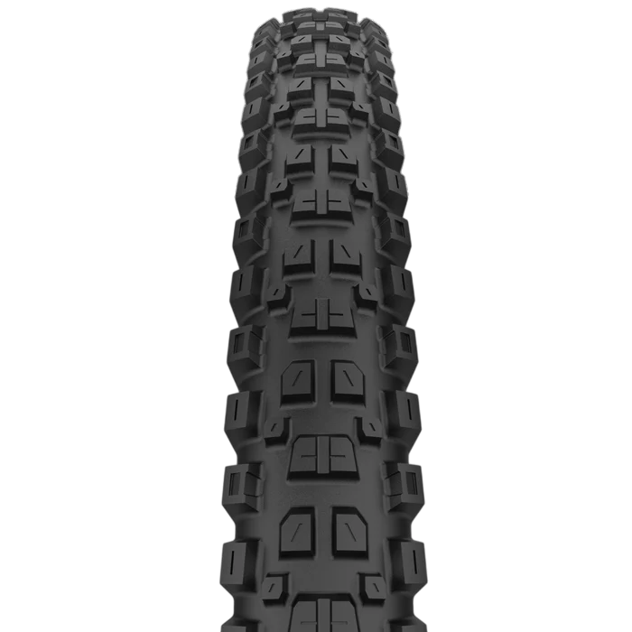 CAST PROTAGONIST 29x2.40 HardWall Smart Evo DH Tubeless Ready Reifen