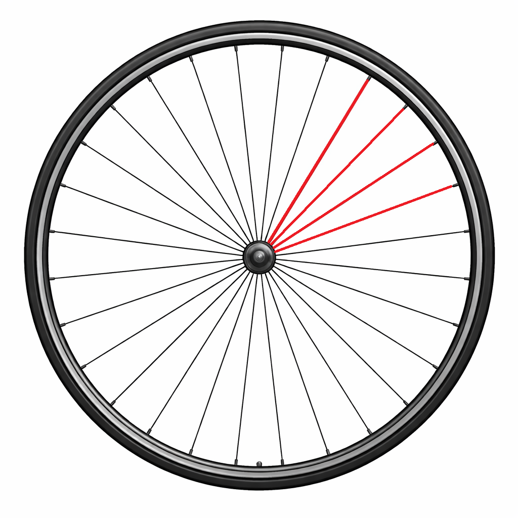 KOMPLETTE SPEICHE CAMPAGNOLO HINTEN LINKS ZONDA (4 STK.)