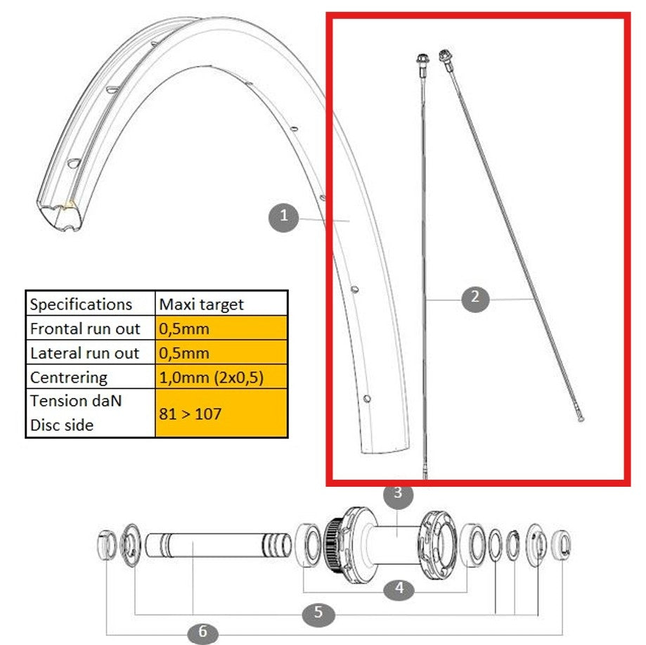 KIT 12 FRONT/REAR COSMIC SL 32 DISC BUTTED STAINLESS SPOKE 284MM + STEEL NIPPLE + WASHER