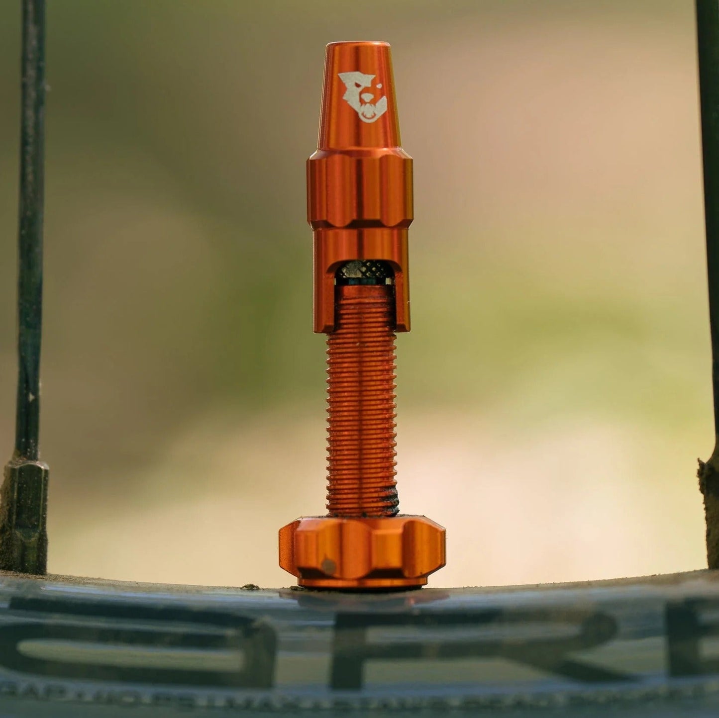 Tubeless-Ventil WOLF TOOTH CLIK VALVE Orange