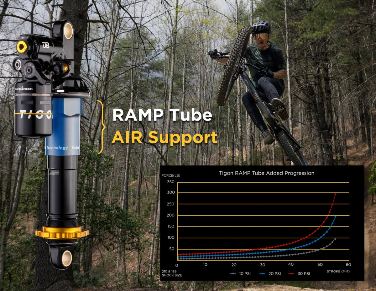 CANE CREEK TIGON Air/Coil Dämpfer