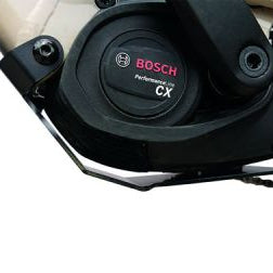 AVS Motorschutzschuh für Focus