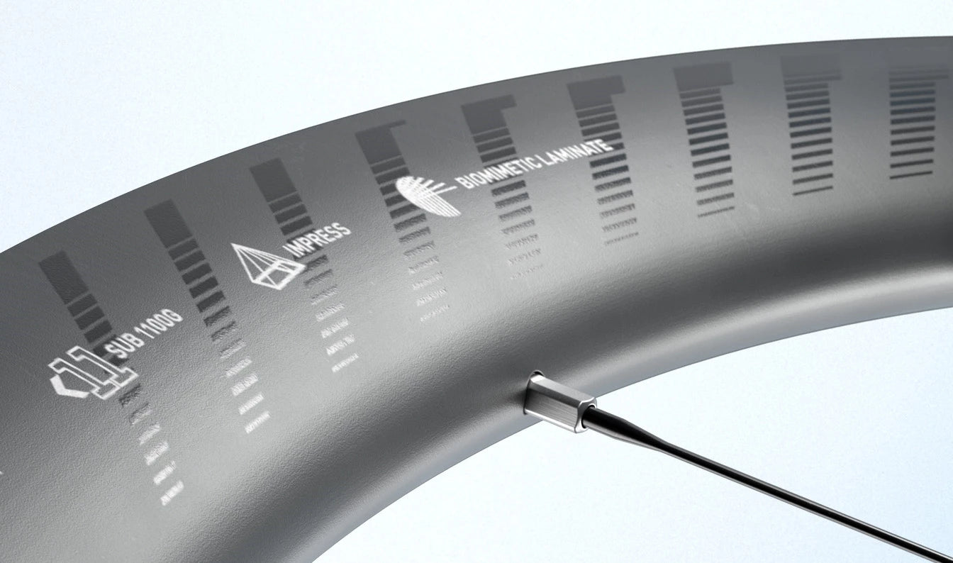 Hinterrad ZIPP 202 NSW A1