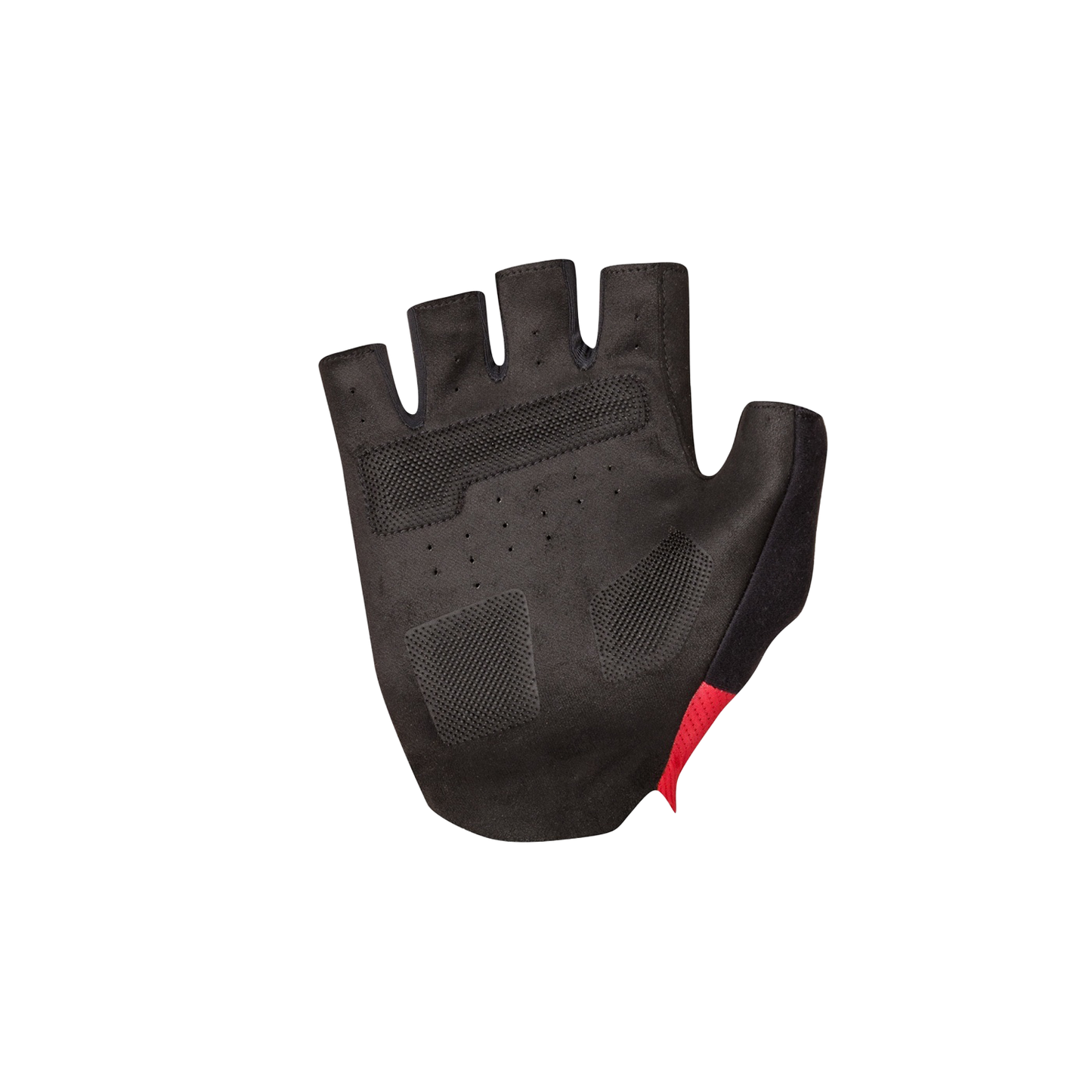 Handschuhe Kurz SPORTFUL PRO Rot