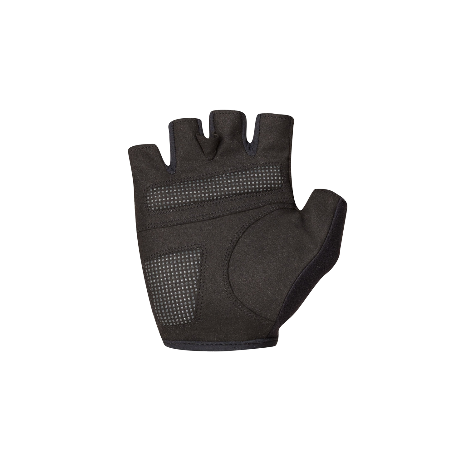 Handschuhe Kurz SPORTFUL CLASSIC Grün