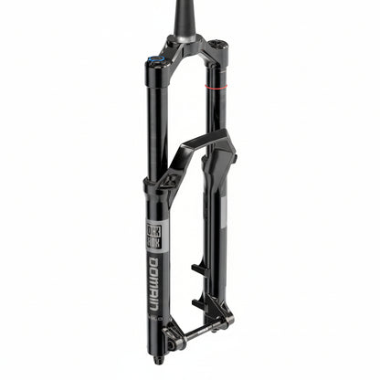 Federgabel ROCKSHOX DOMAIN GOLD ISOLATOR RC3 29" Konisch Achse 15x110mm Boost Schwarz