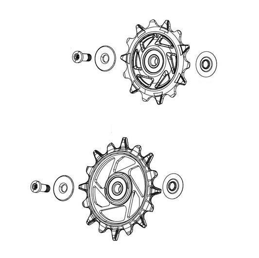 SRAM XX-SL T-TYPE EAGLE AXS / RED XPLR E1 12-fach Schaltwerksrollen hinten