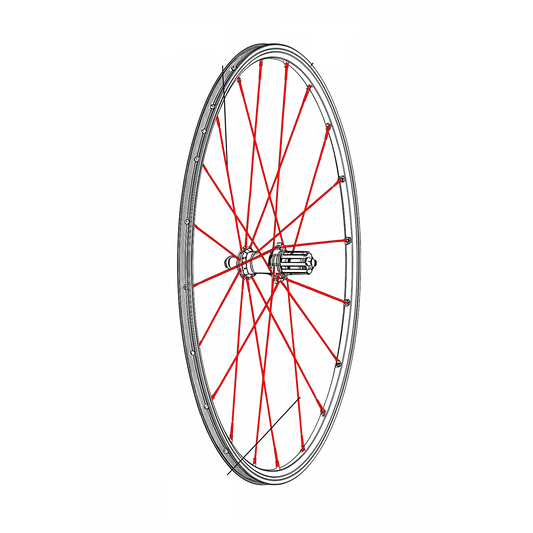 SET 12 AR-SPEICHEN MAVIC CROSSRONE/CROSSRIDE FTSX 262MM
