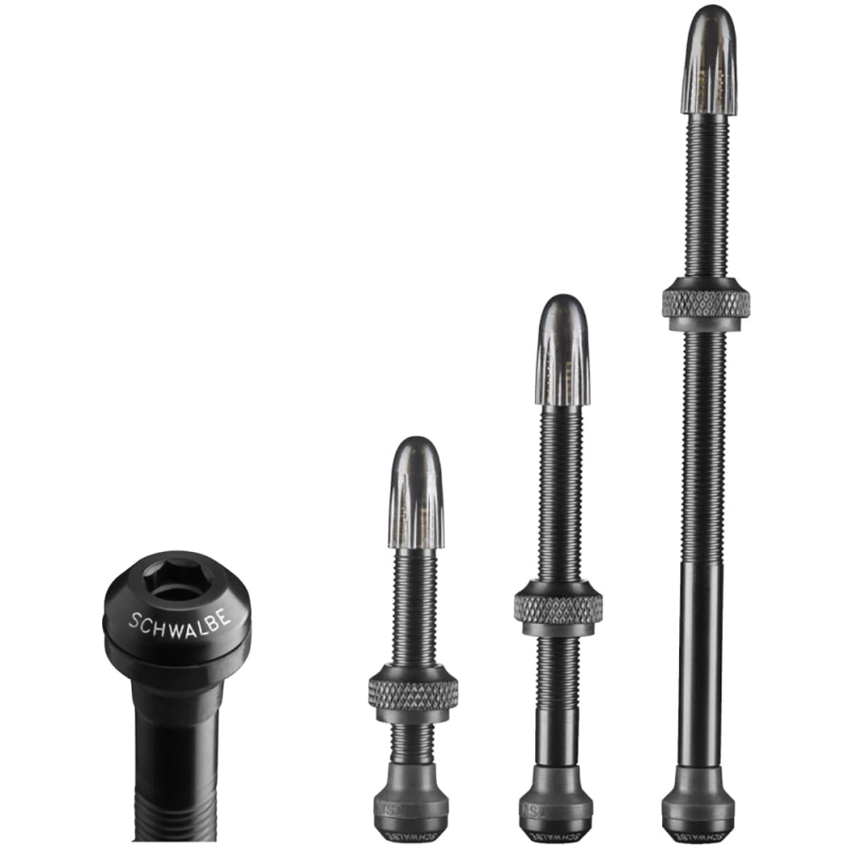 SCHWALBE Tubeless-Ventile Presta (x2)