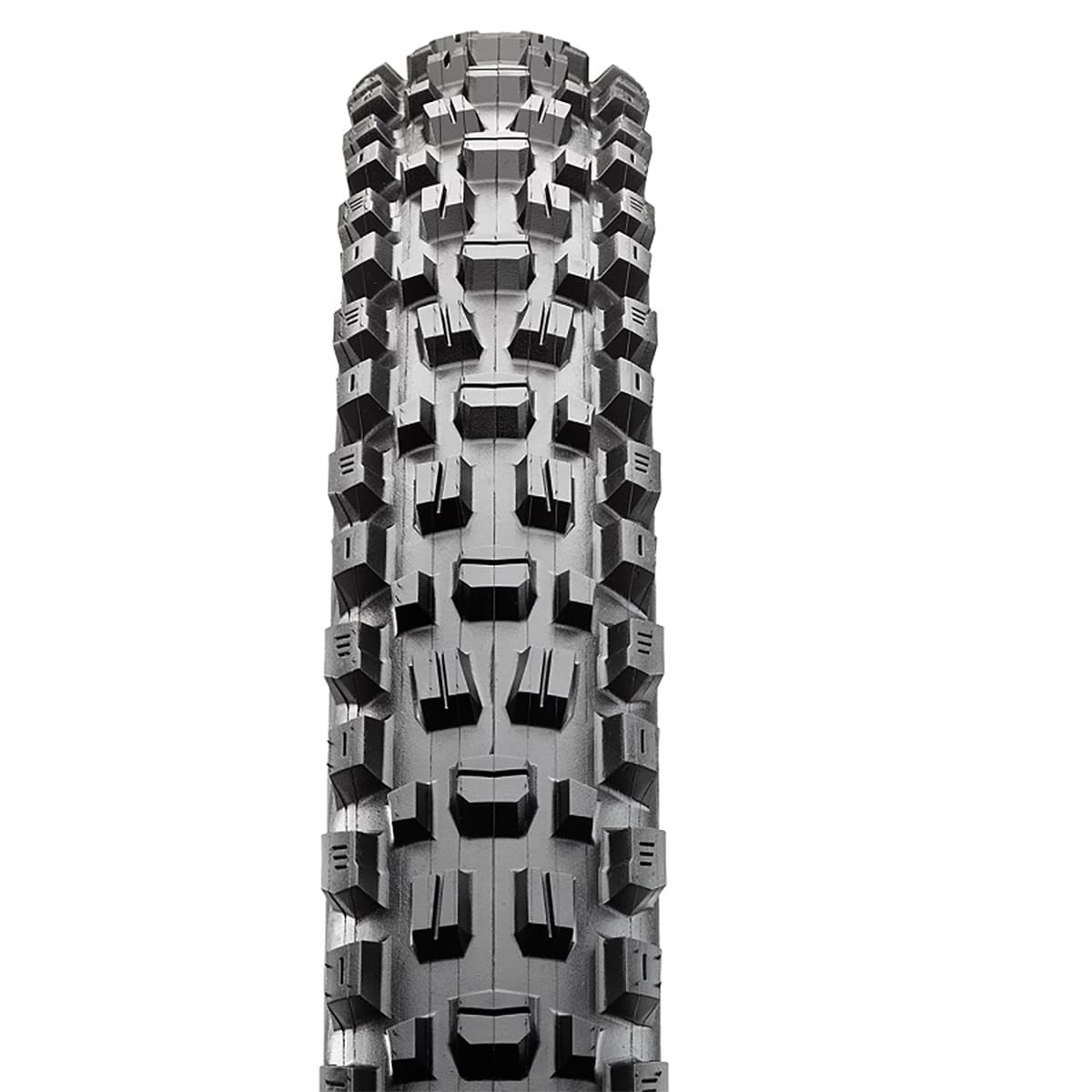 Pneu MAXXIS ASSEGAI 29x2,60 WT Exo 3C Terra Tubeless Ready Souple Noir