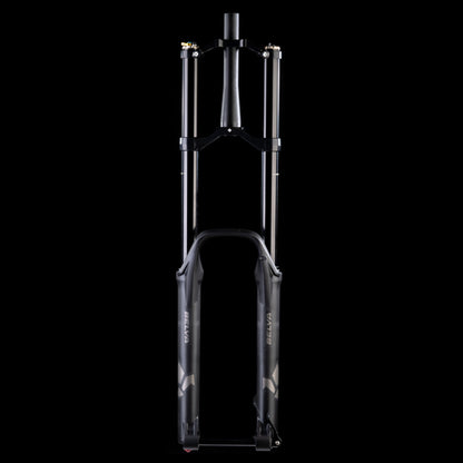 Gabel FORMULA BELVA 29" Achse 15x110mm Boost Schwarz