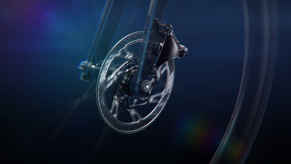 Gruppe CAMPAGNOLO SUPER RECORD WRL 2x12V
