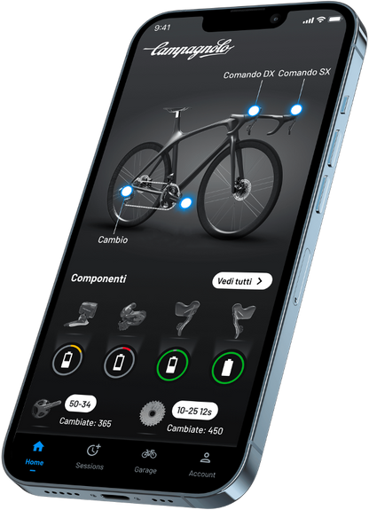 Gruppe CAMPAGNOLO SUPER RECORD WRL 2x12V