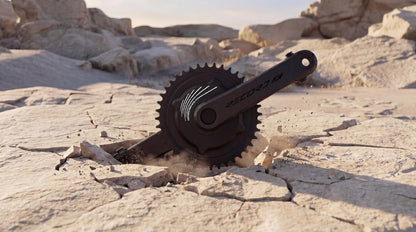 Gruppe CAMPAGNOLO RECORD X 1x13V GRAVEL