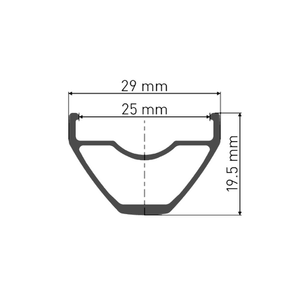 Vorderrad DT SWISS X 1900 SPLINE 25 mm 29" 15x100 mm