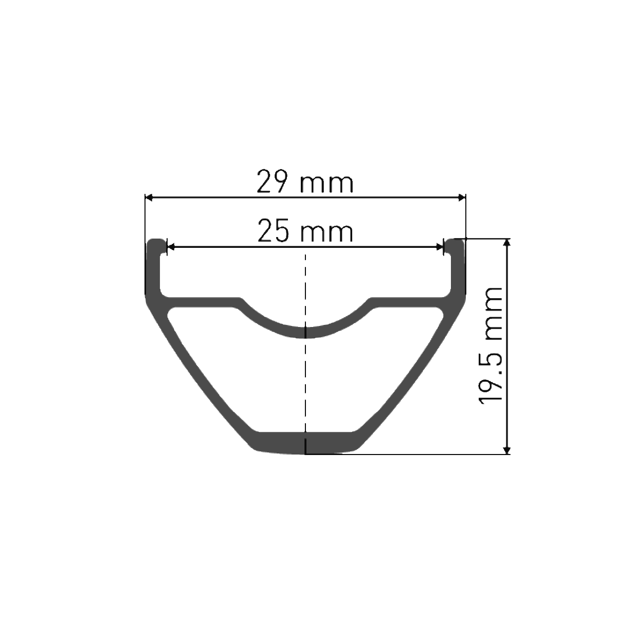 Vorderrad DT SWISS X 1900 SPLINE 29'' 25 mm 15x110 mm