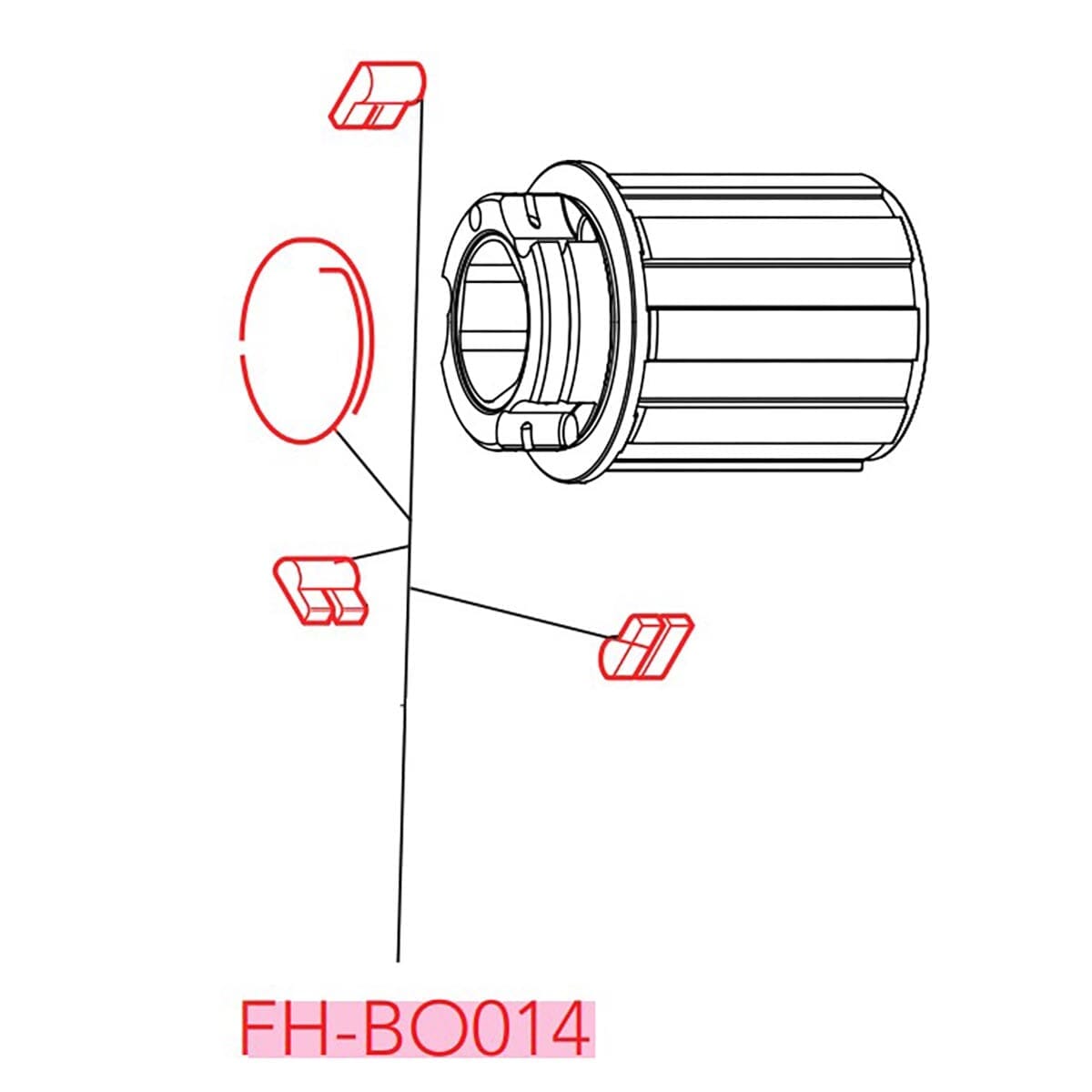 Kit 3 Cliquets et Ressort de corps de Roue Libre CAMPAGNOLO #FH-BO014