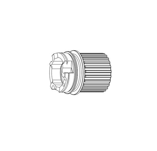 CAMPAGNOLO Freilaufkörper Typ SHIMANO Microspline 12V