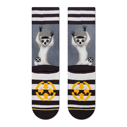 Socken MERGE4 RING TAIL LEMUR