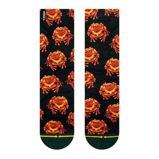 Socken MERGE4 DJBM TEE FROG