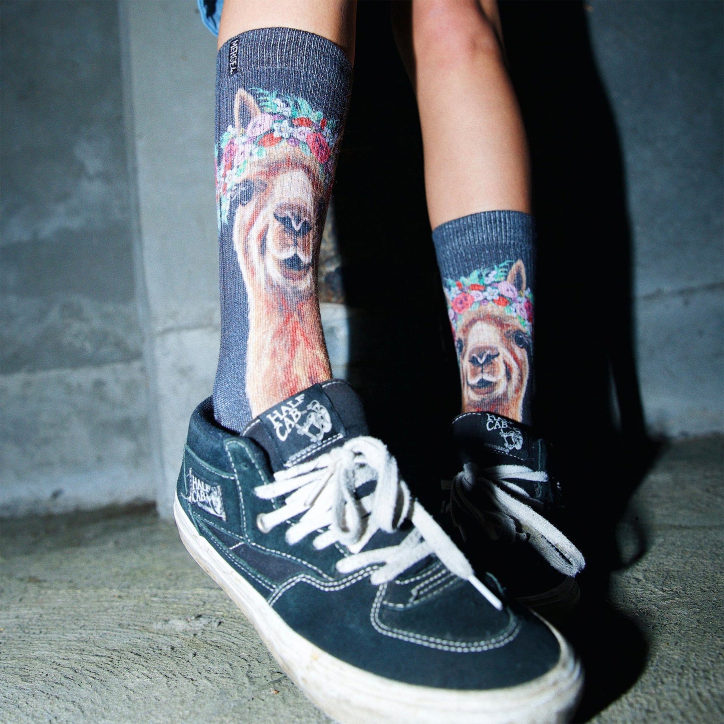 Socken MERGE4 LEE KELLER ALPACA FARM ANIMAL