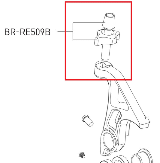 Kabelzugentlastungsschraube für CAMPAGNOLO SR/Record 12V Hinterer Umwerfer