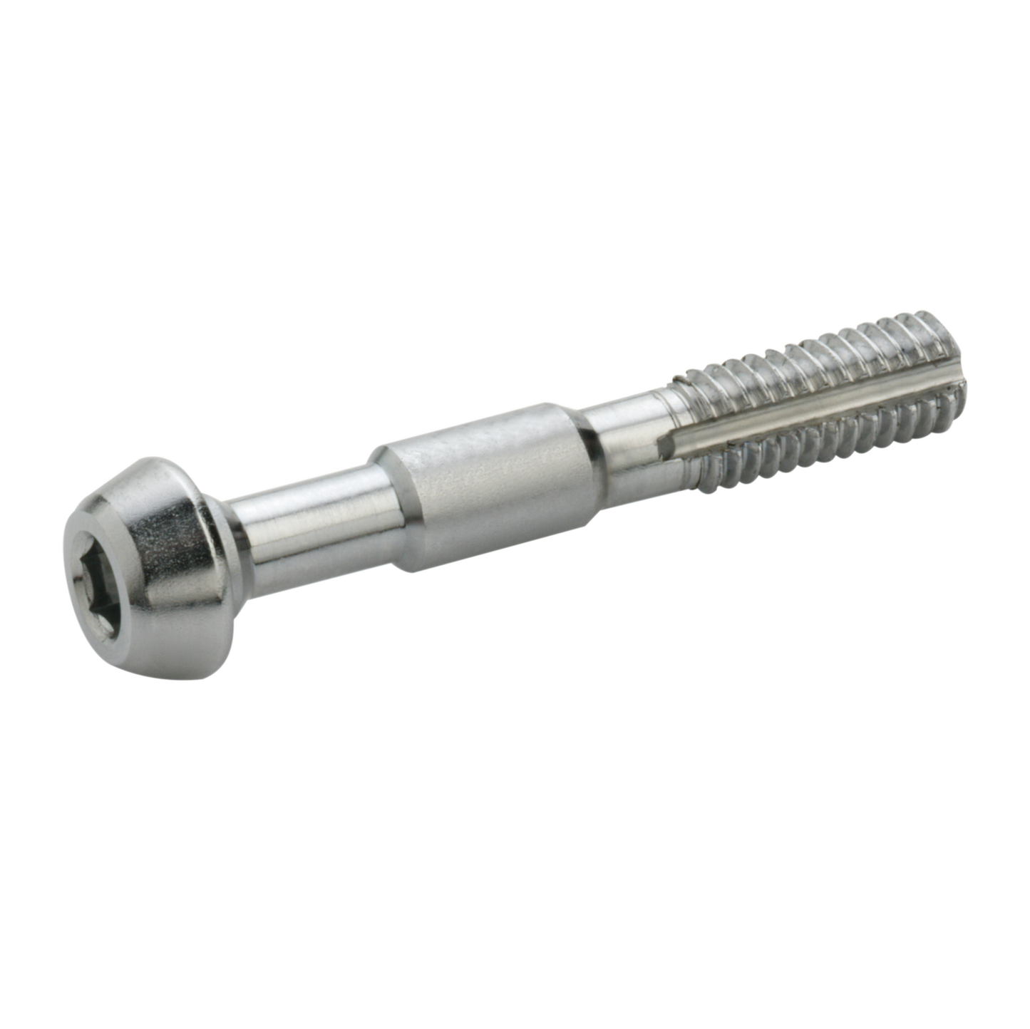 2 ELVEDES-Schrauben M6 für Banjo Shimano