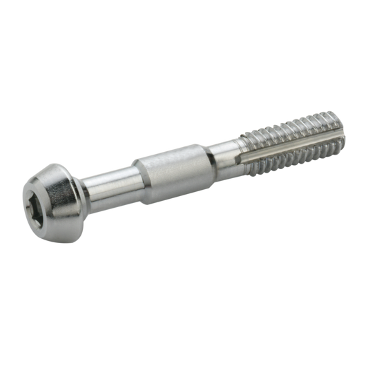 2 ELVEDES-Schrauben M6 für Banjo Shimano