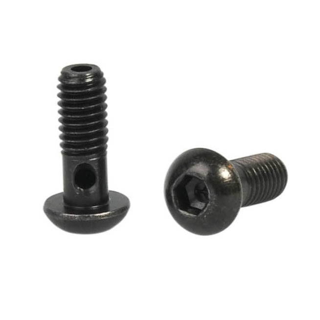 2er-Set ELVEDES-Schrauben M6 für Banjo