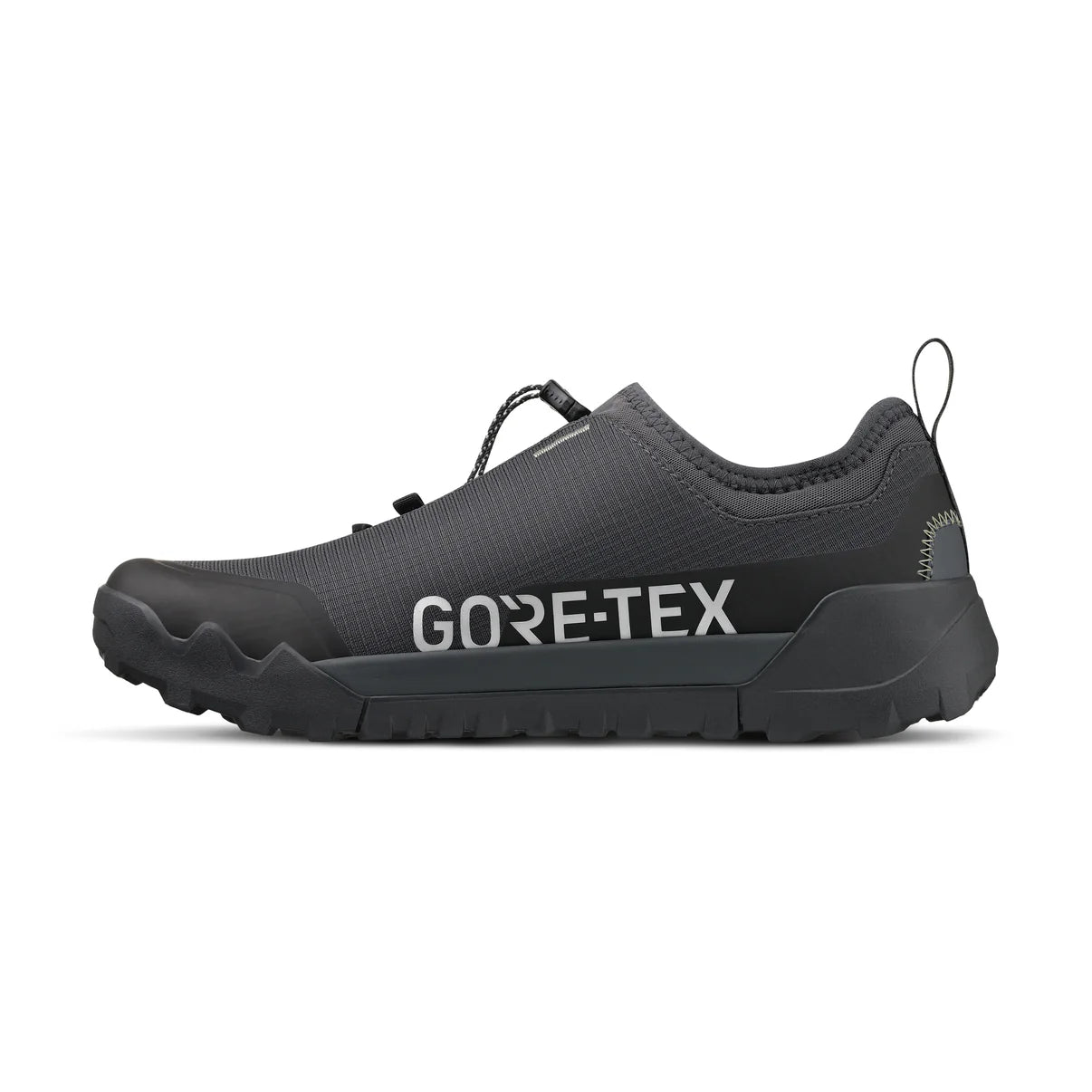 Mountainbike-Schuh FIZIK ERGOLACE 2 GTX FLAT Schwarz