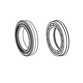 Rollen CAMPAGNOLO SUPER RECORD WRL 12V USB Mit Dichtungen