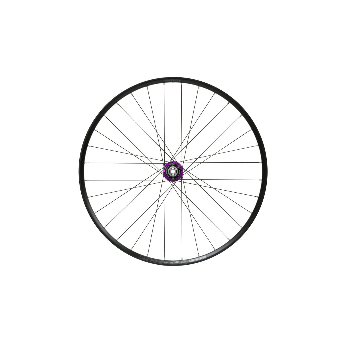 HOPE Fortus 23 W Hinterrad, 29 Zoll, Pro 5 Nabe in Violett