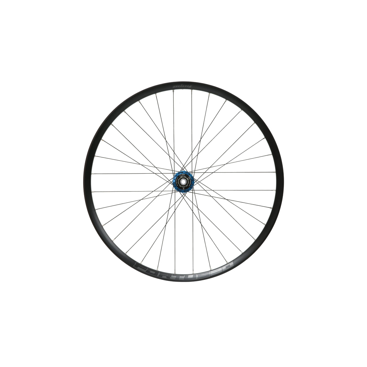 HOPE Fortus 30 W Hinterrad, 29 Zoll, Pro 5 Nabe in Blau