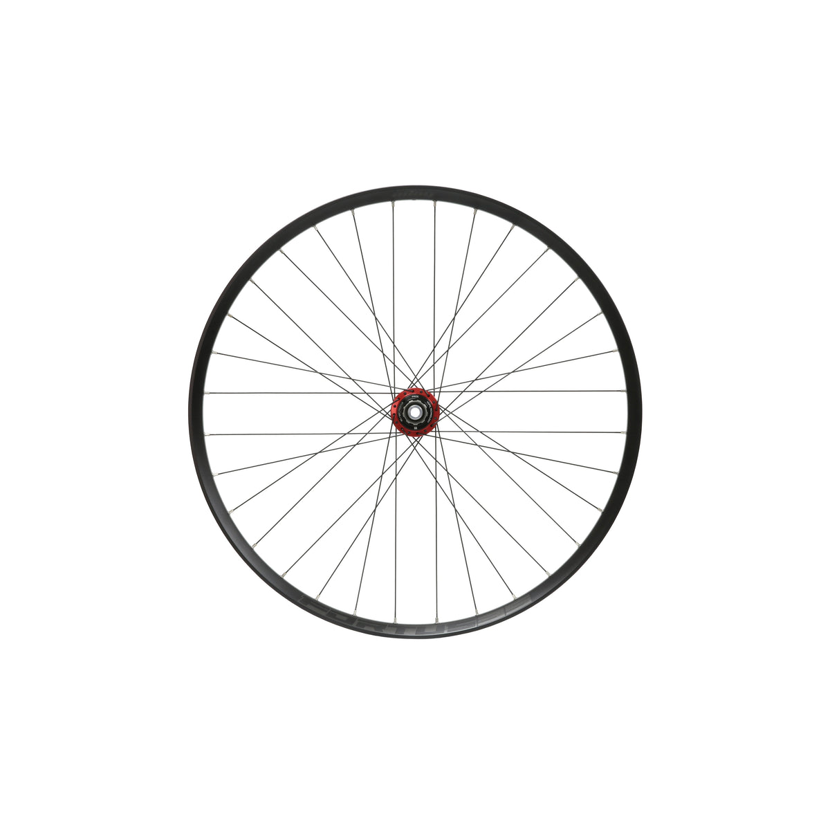 HOPE Fortus 35 W Hinterrad, 29 Zoll, Pro 5 Nabe in Rot