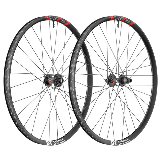 Ein Paar Rous DT SWISS FR 1500 CLASSIC 30 mm 29" 12w157/20x100 mm