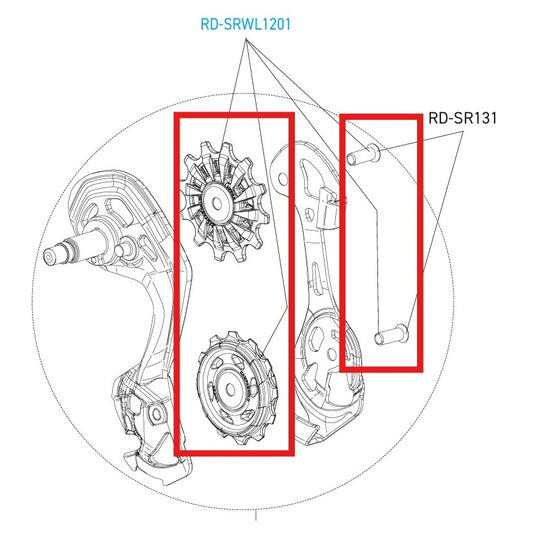 CAMPAGNOLO SUPER-RECORD 12V WRL DISC Schaltwerksrollen hinten