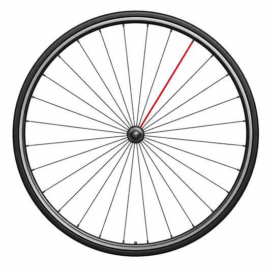 KOMPLETTE SPEICHE CAMPAGNOLO VORNE SHAMAL C17 (1 PC.)