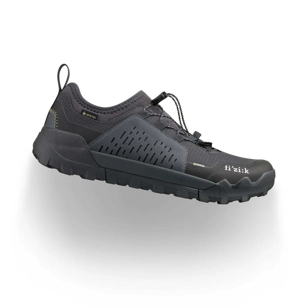 Mountainbike-Schuh FIZIK ERGOLACE 2 GTX FLAT Schwarz