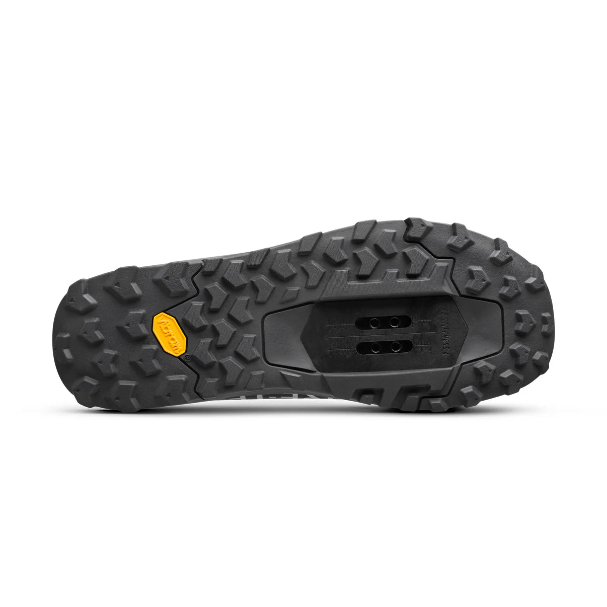 Mountainbike-Schuh FIZIK ERGOLACE 2 GTX Schwarz