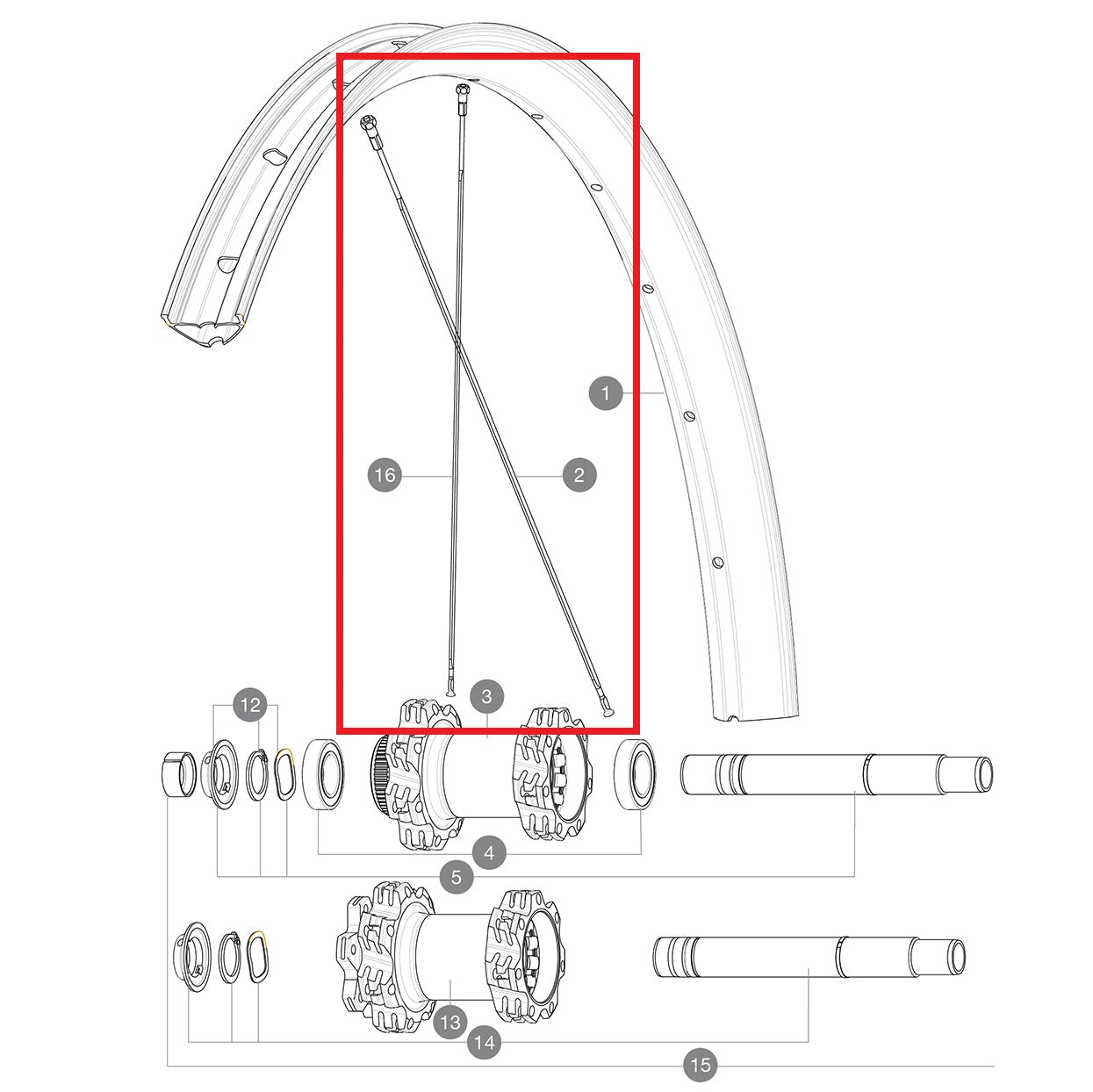 KIT 14 REAR NON DRIVE SIDE EDEEMAX 29'' FLAT SPOKE 305 + NIPPLE