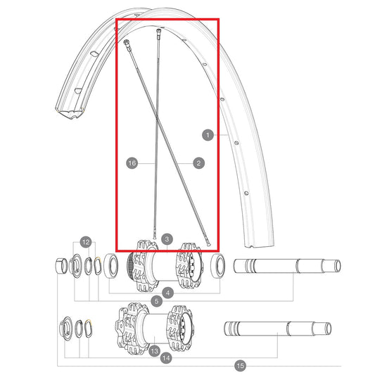 KIT 14 REAR NON DRIVE SIDE EDEEMAX 29'' FLAT SPOKE 305 + NIPPLE